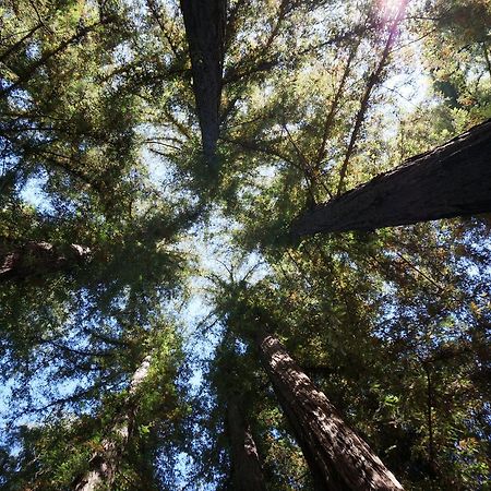 Riverside Campground & Cabins Big Sur Extérieur photo