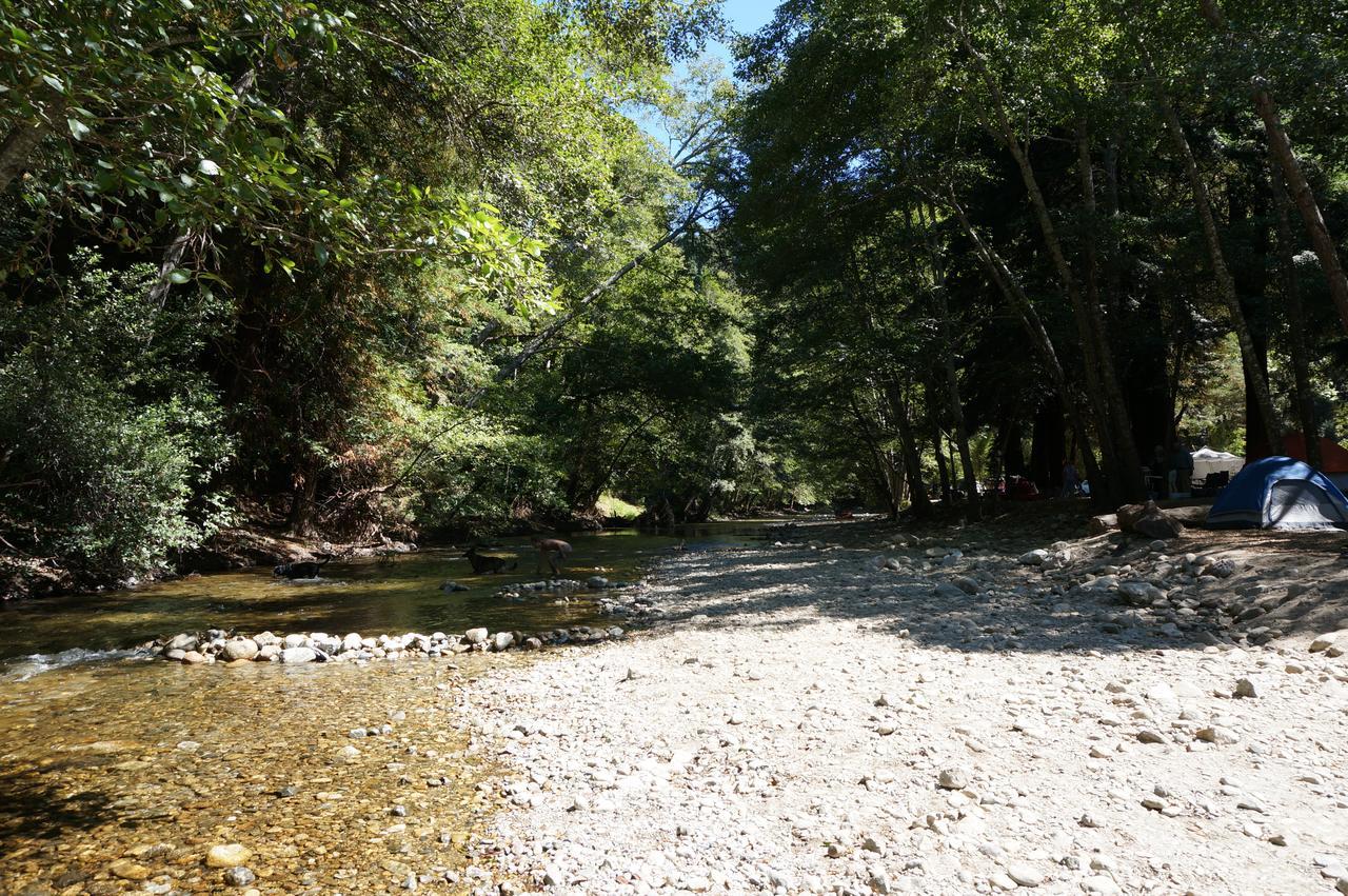 Riverside Campground & Cabins Big Sur Extérieur photo