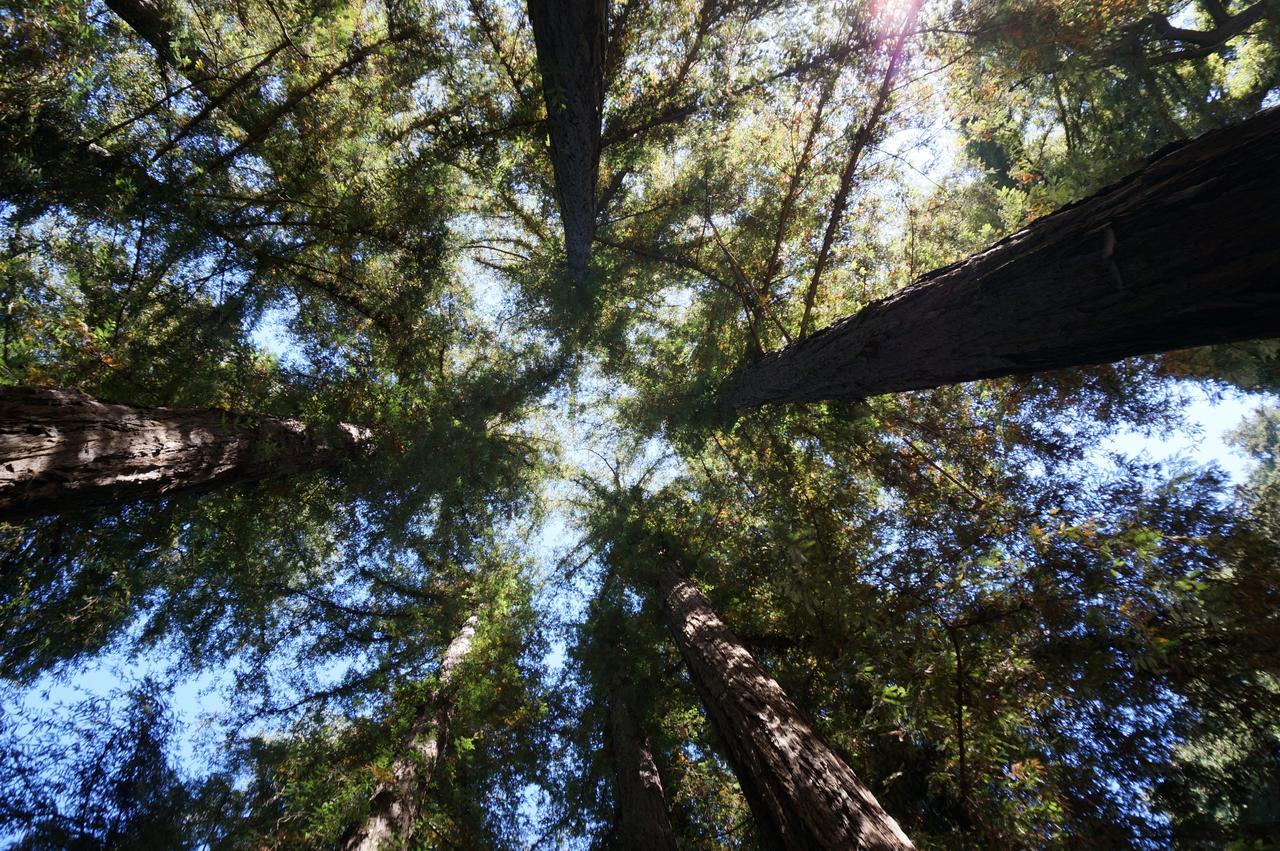 Riverside Campground & Cabins Big Sur Extérieur photo